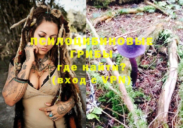 ешки Абинск